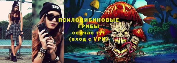 молекула духа Вуктыл