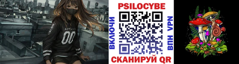 KRAKEN ссылка  Кедровый  Псилоцибиновые грибы прущие грибы 